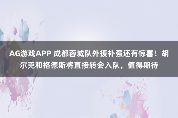 AG游戏APP 成都蓉城队外援补强还有惊喜！胡尔克和格德斯将直接转会入队，值得期待