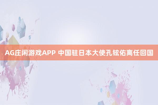 AG庄闲游戏APP 中国驻日本大使孔铉佑离任回国