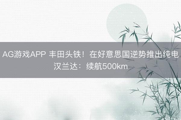 AG游戏APP 丰田头铁!在好意思国逆势推出纯电汉兰达:续航500km