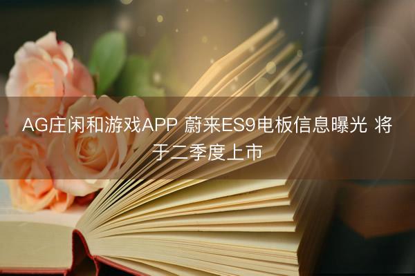 AG庄闲和游戏APP 蔚来ES9电板信息曝光 将于二季度上市